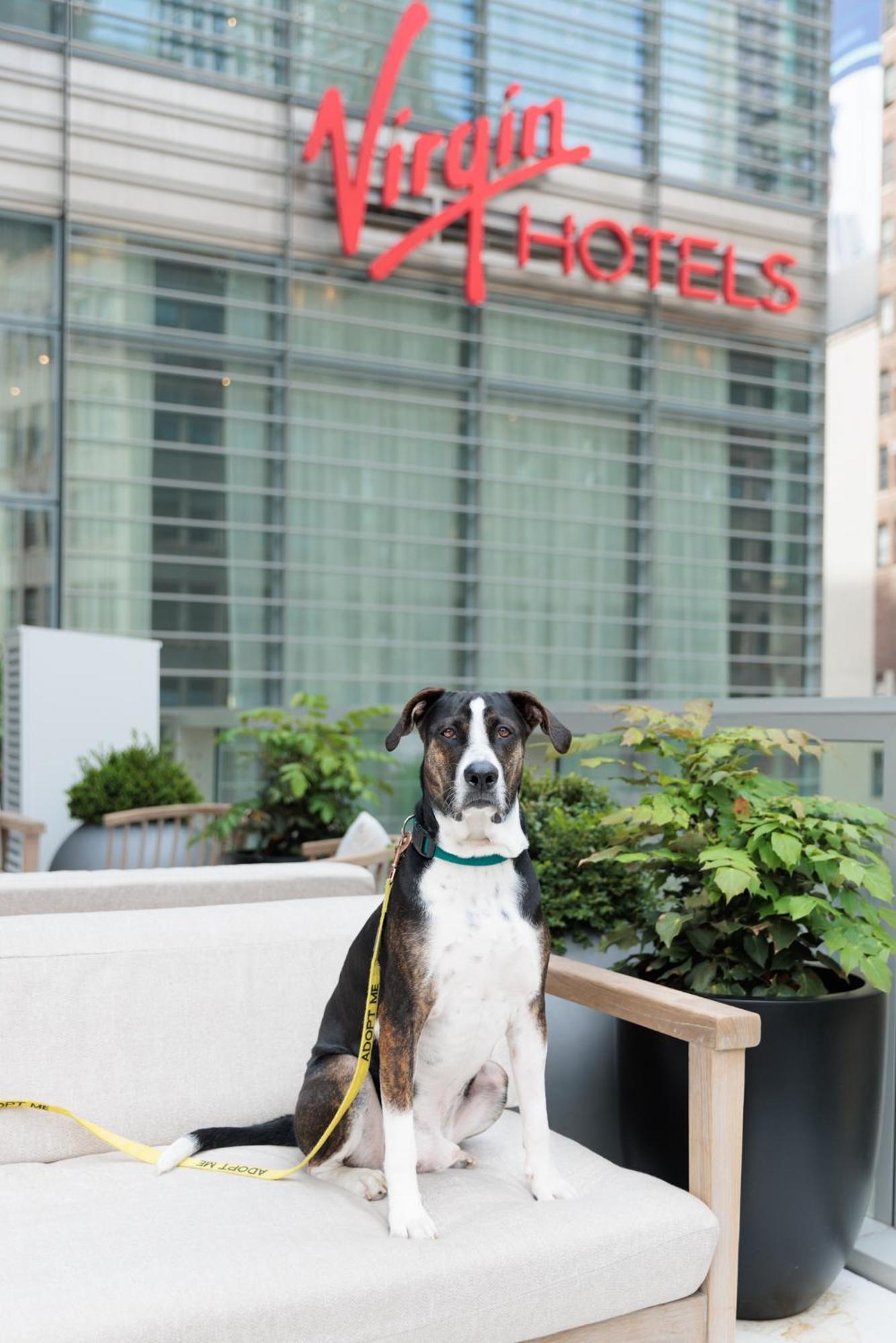 Virgin Hotels New York City Extérieur photo